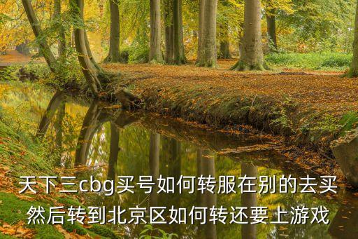 天下三cbg买号如何转服在别的去买然后转到北京区如何转还要上游戏
