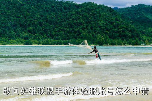 敢问英雄联盟手游体验服账号怎么申请