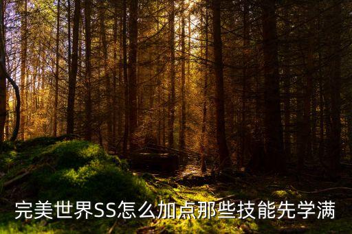 完美世界手游月仙技能怎么加点，请教完美世界游戏加点