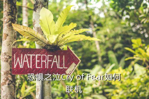 恐鬼症手游怎么联机进入联机大厅，恐惧之泣Cry of Fear如何联机