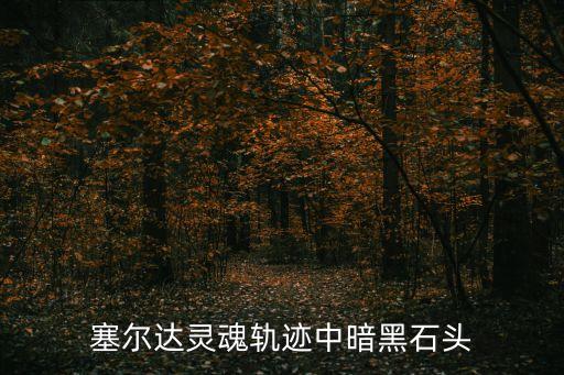 塞尔达灵魂轨迹中暗黑石头