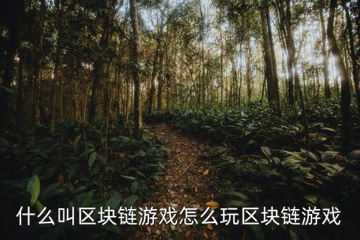 什么叫区块链游戏怎么玩区块链游戏