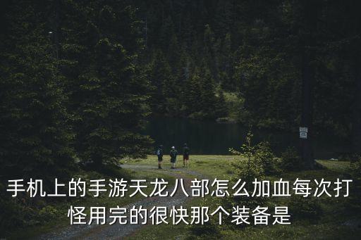 天龙八部手游血条怎么弄，手机上的手游天龙八部怎么加血每次打怪用完的很快那个装备是