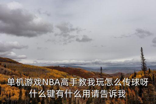 手游2k20双击怎么变普通传球，单机游戏NBA高手教我玩怎么传球呀什么键有什么用请告诉我