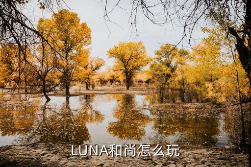 新笑傲江湖手游和尚技能怎么用，LUNA和尚怎么玩