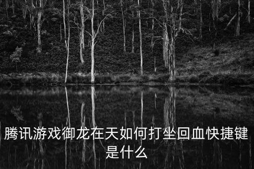 腾讯游戏御龙在天如何打坐回血快捷键是什么