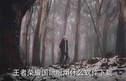 王者荣耀国际服用什么软件下载