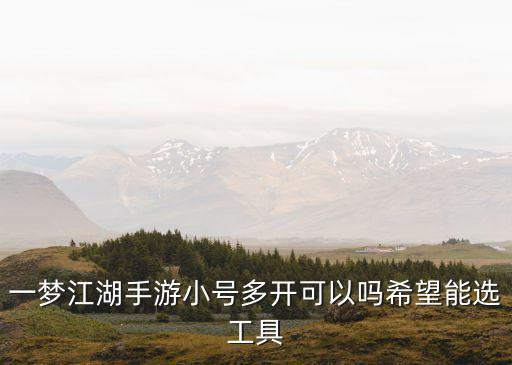 一梦江湖手游小号多开可以吗希望能选工具