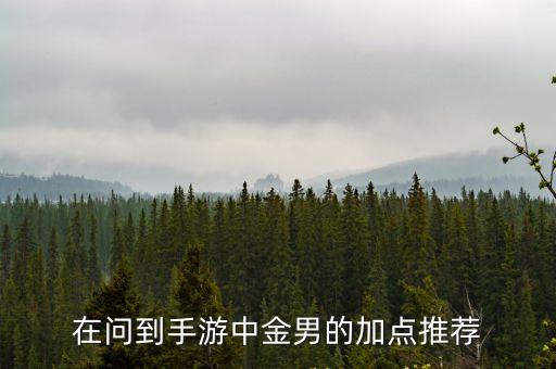 热血传奇手游男角色怎么加点，在问到手游中金男的加点推荐