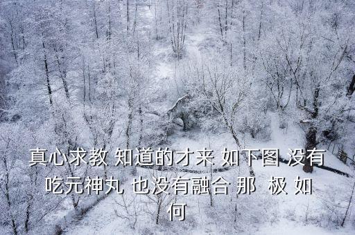 真心求教 知道的才来 如下图 没有吃元神丸 也没有融合 那  极 如何