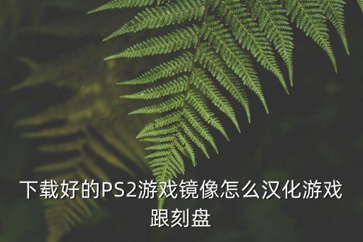 ps2手游怎么汉化，如何汉化ps2游戏