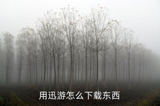 用迅游怎么下载东西