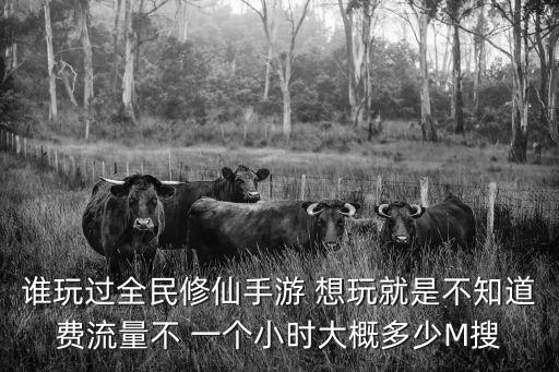 谁玩过全民修仙手游 想玩就是不知道费流量不 一个小时大概多少M搜