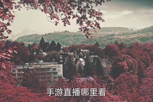 手游直播哪里看