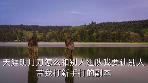 天涯明月刀手游跨区怎么组队，剑灵的跨服组队可以在不同区吗