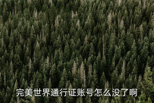 完美世界通行证账号怎么没了啊