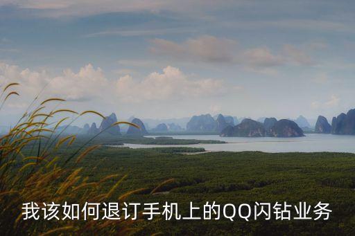 跑跑手游闪钻怎么取消，怎样取消固定电话的会员及闪钻