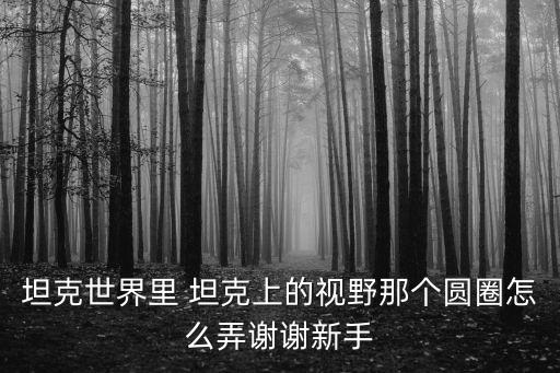坦克世界里 坦克上的视野那个圆圈怎么弄谢谢新手