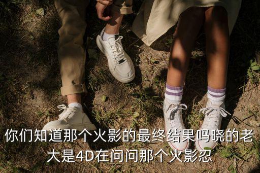 你们知道那个火影的最终结果吗晓的老大是4D在问问那个火影忍