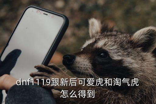 dnf1119跟新后可爱虎和淘气虎怎么得到
