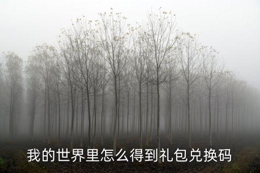 我的世界里怎么得到礼包兑换码