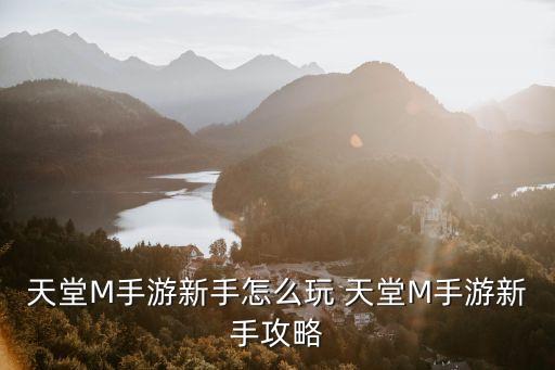 天堂M手游新手怎么玩 天堂M手游新手攻略