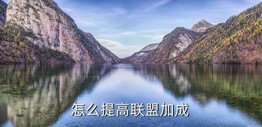 怎么提高联盟加成