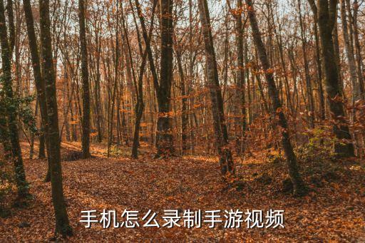 手机怎么录制手游视频
