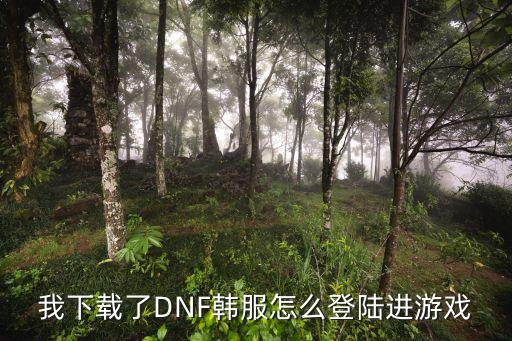 我下载了DNF韩服怎么登陆进游戏