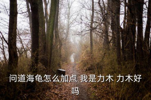 问道海龟怎么加点 我是力木 力木好吗
