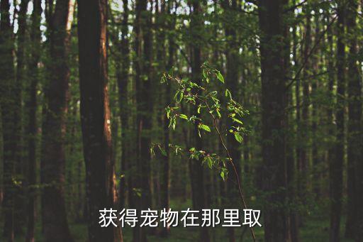 获得宠物在那里取