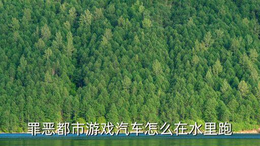 罪恶都市游戏汽车怎么在水里跑