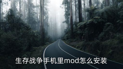 生存战争手机里mod怎么安装