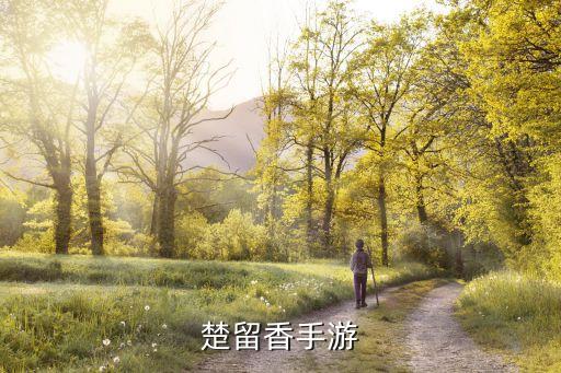 楚留香手游灵宝怎么过，楚留香手游捡宝石奇遇任务怎么触发
