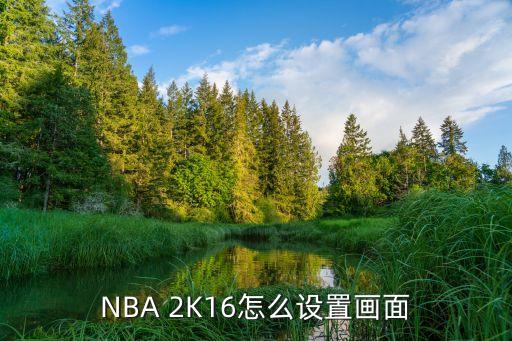NBA 2K16怎么设置画面