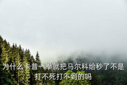 为什么卡普一拳就把马尔科给秒了不是打不死打不到的吗