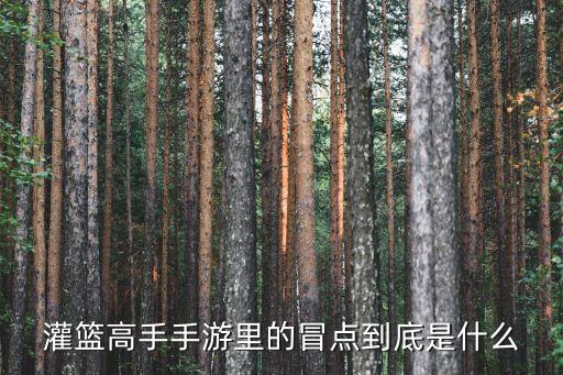 灌篮高手手游主角怎么加点，灌篮高手手游什么人物选什么技能