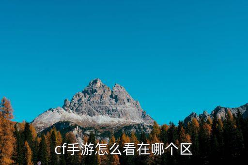 cf手游怎么看在哪个区