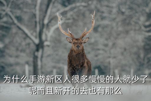 为什么手游新区人很多慢慢的人就少了呢而且新开的去也有那么