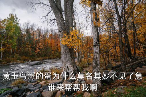 黄玉鸟孵的蛋为什么莫名其妙不见了急谁来帮帮我啊
