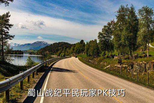 蜀山战纪平民玩家PK技巧