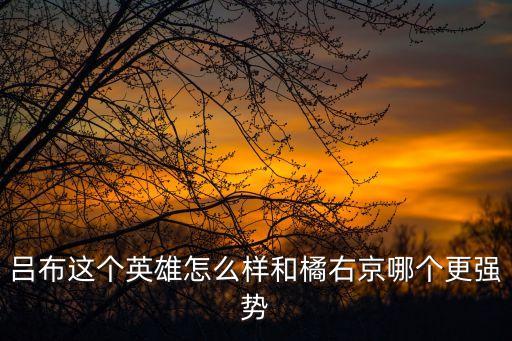 吕布这个英雄怎么样和橘右京哪个更强势