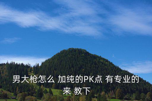 男大枪怎么 加纯的PK点 有专业的 来 教下