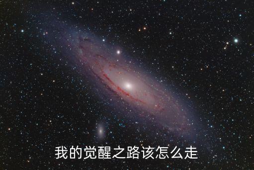 我的觉醒之路该怎么走