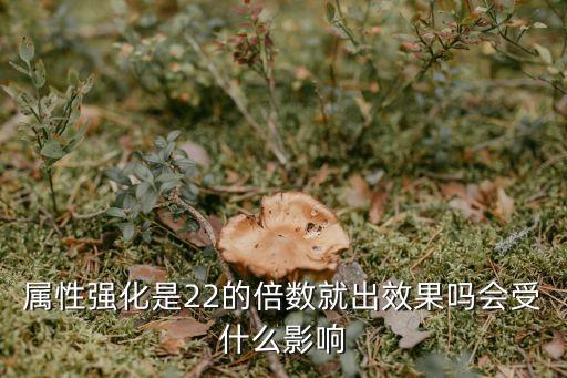 属性强化是22的倍数就出效果吗会受什么影响