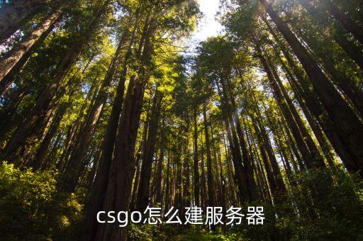csgo怎么建服务器