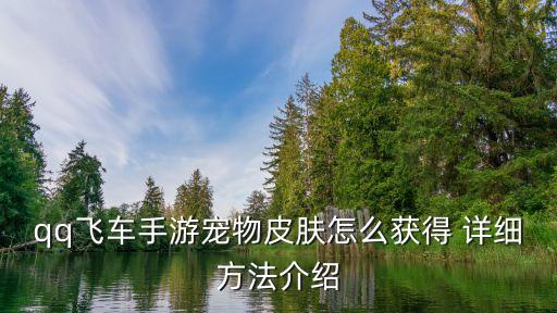 qq飞车手游宠物皮肤怎么获得 详细方法介绍