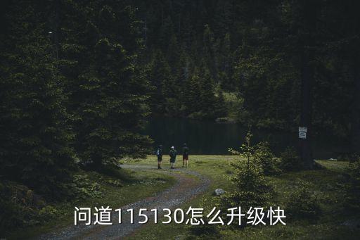 问道115130怎么升级快