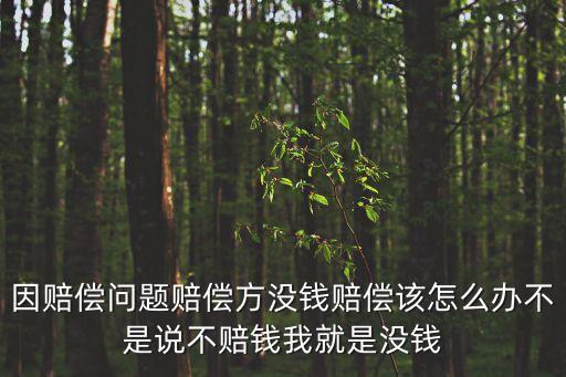 因赔偿问题赔偿方没钱赔偿该怎么办不是说不赔钱我就是没钱