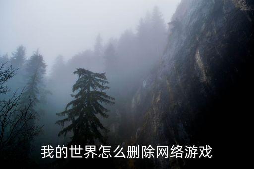 我的世界怎么删除网络游戏